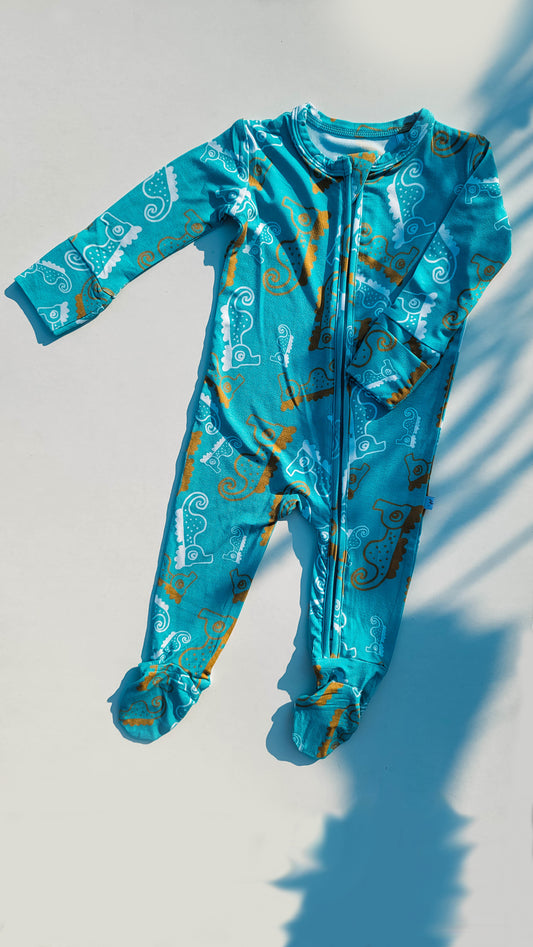 Swimmers: Long Sleeved Footed Zippies Set of 2